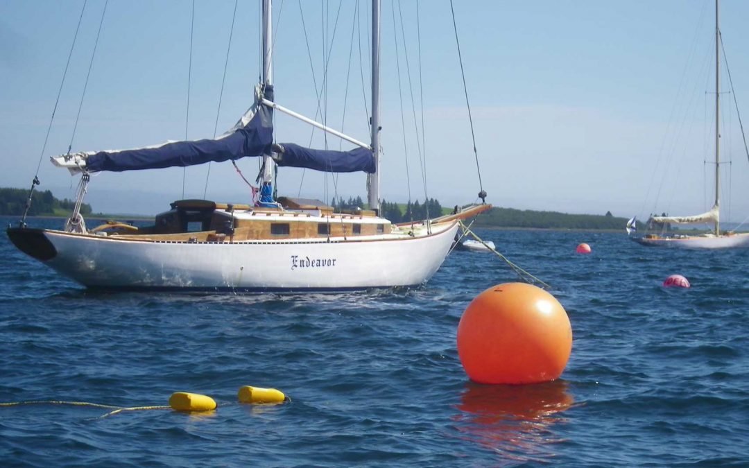 More Boat News For Boating Enthusiasts: The Enduring Appeal Of The Halifax Boat Show