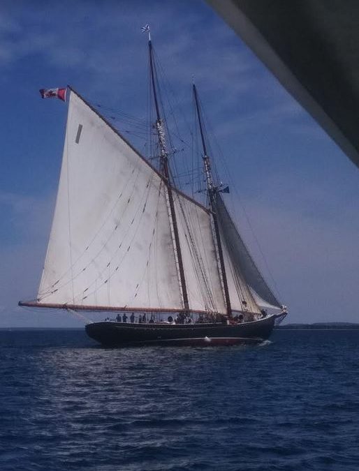 A Chat With Captain Phil Watson – Bluenose II To Do A Pandemic Sail Past; Plans Afoot for Her Centennial Celebrations Next Year