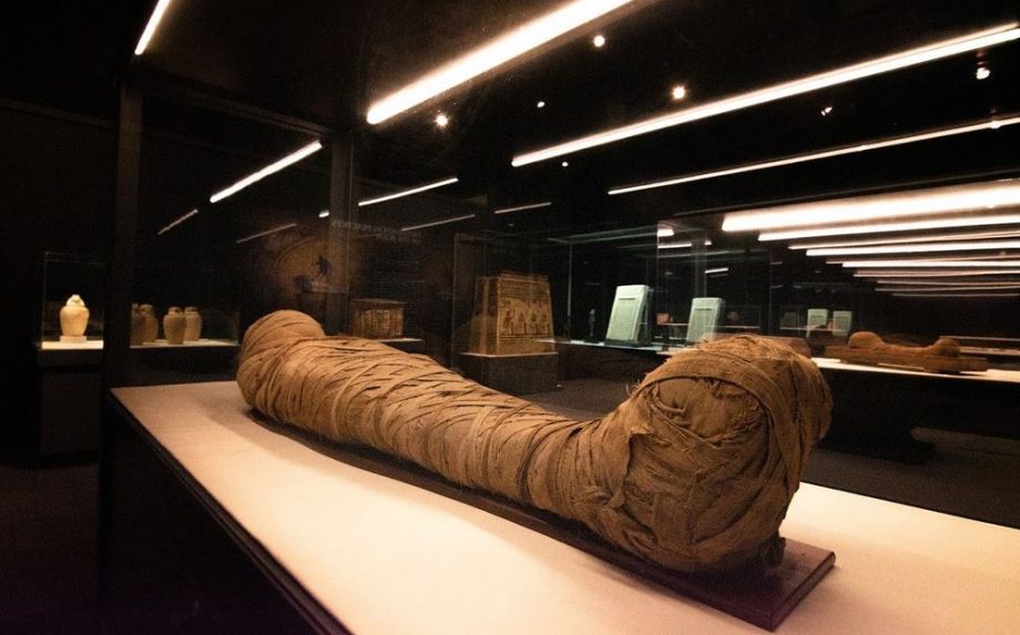 Mummies From Egypt Now An Exhibition Highlight At Halifax’s Museum Of Natural History