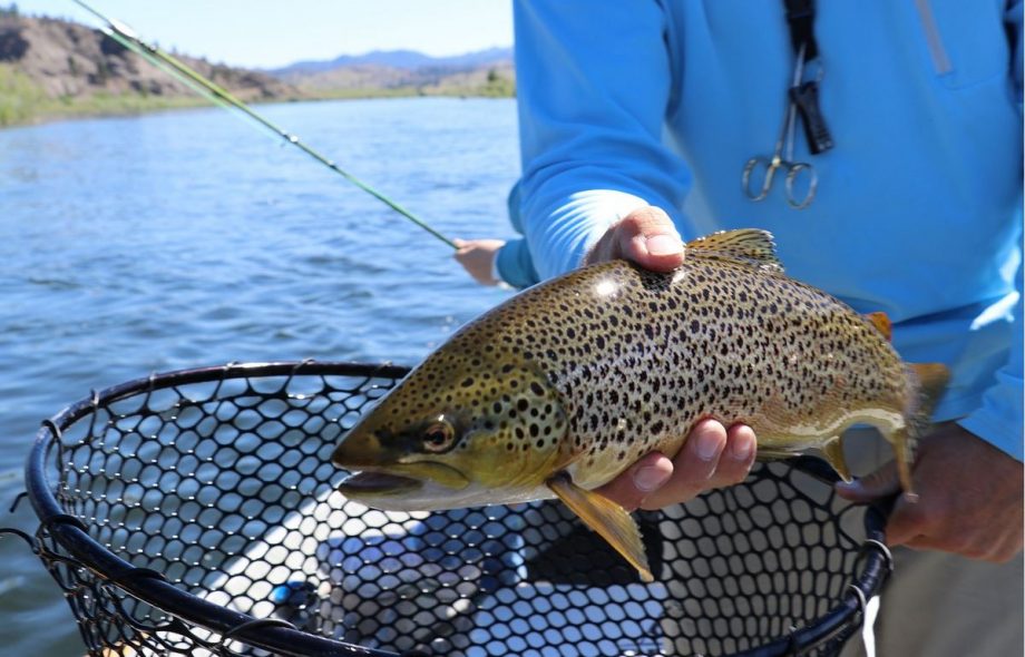 Rejoice: It’s Trout Fishing Season – The Big Business Of Retailing Worms