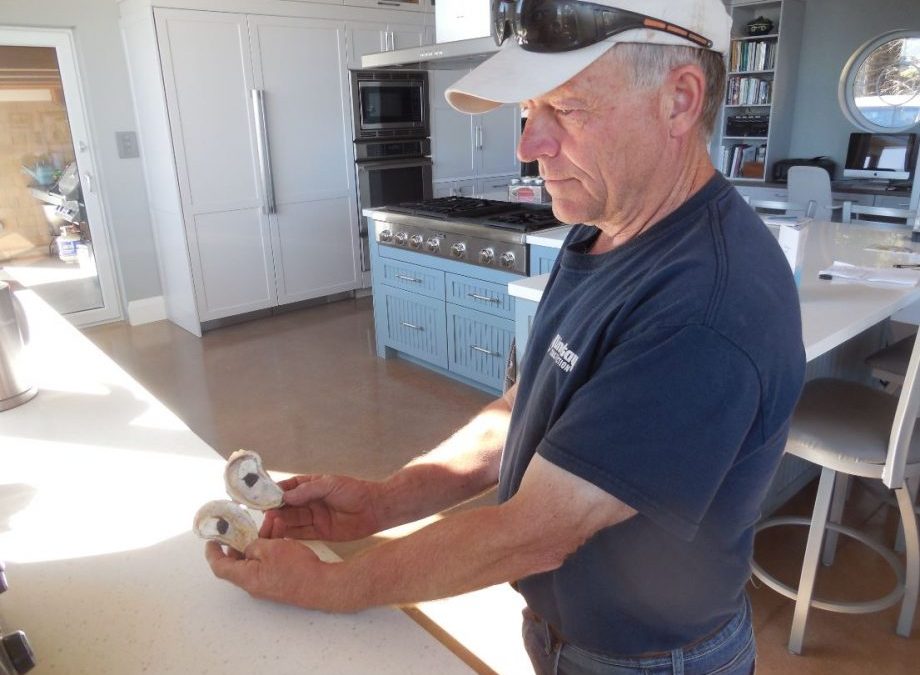 Exclusive: Civil Engineer Ernie Porter Secures Oyster Licenses In Antigonish