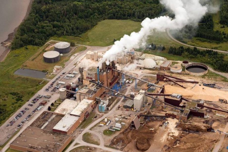 Northern Pulp: High Ranking Government Official: ‘Even If There Are Gov – Northern Pulp Talks, Government Would Never Confirm It’