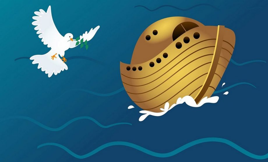 The Developer’s Lament: If Noah Had To Build An Ark Today