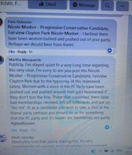 MacPolitics: Exclusive: Martha MacQuarrie – Top Tory – Calls PC Leader Tim Houston ‘Hypocritical’ Alleges On Social Media Houston Pushed Women Out Of His Party