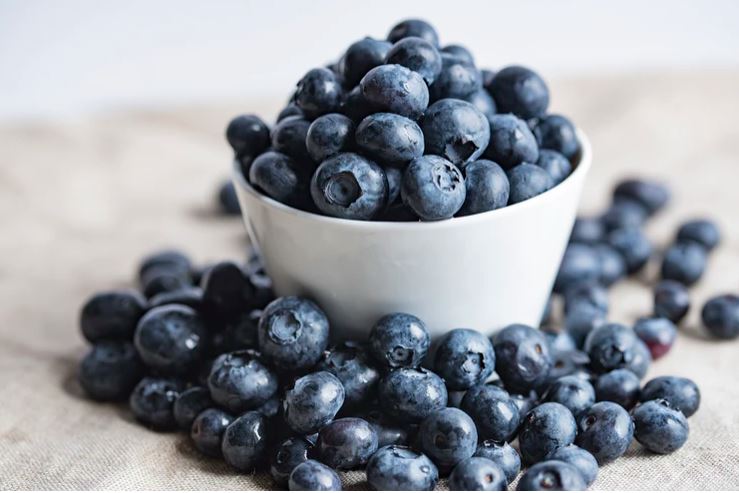 Encore: Blueberry Fields Forever: Major Nova Scotia Agriculture Export