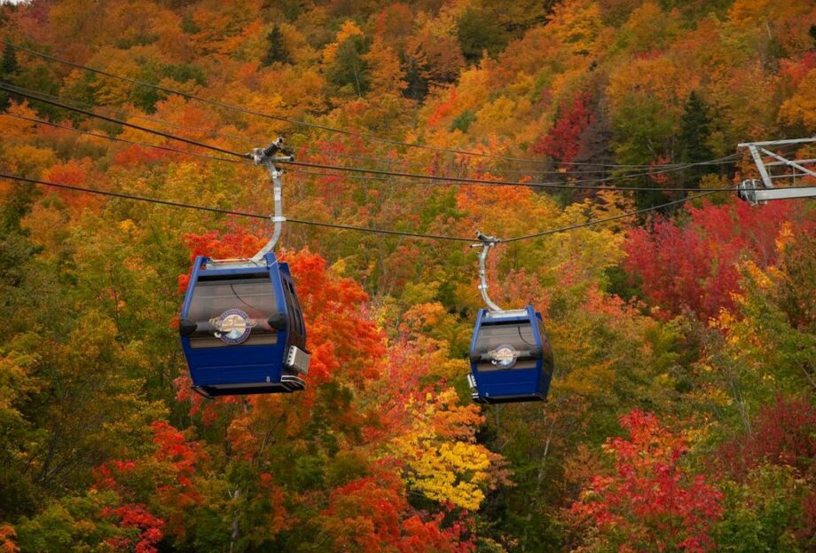 Cape Smokey’s Gondola Part Of Ambitious Long-Term Plan