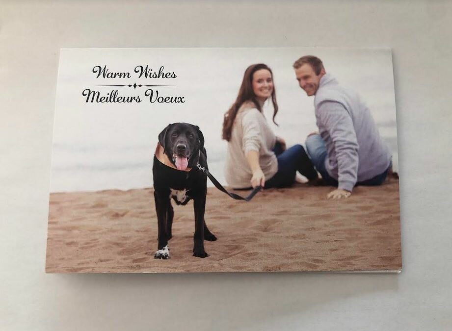 MacPolitics: Former New Brunswick Premier Brian Gallant’s Holiday Card Features Spouse Karine & Pet Dog Blaze