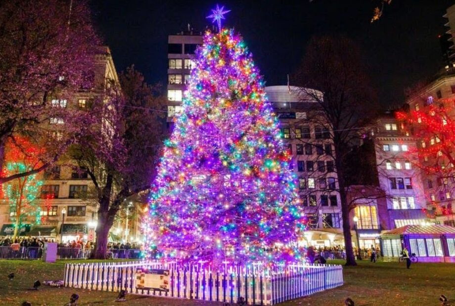 L Arche Cape Breton Donates Golden Anniversary Christmas Tree for