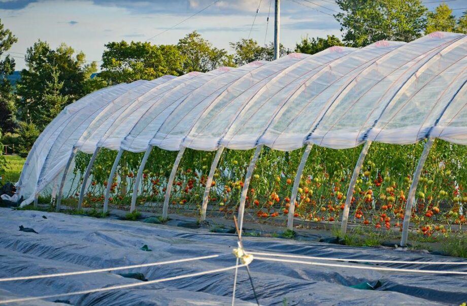 Catholic Sisters Helping Sow Seeds Of Success For Young Farmers