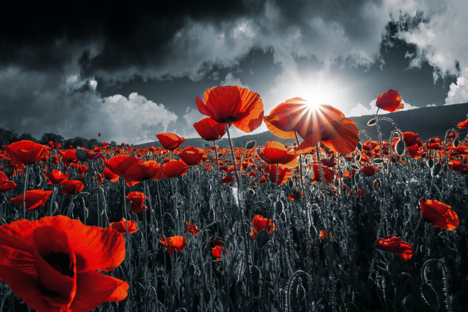 Remembrance Day & Voting — Why The Optics Are Off To Allow Voting On Remembrance Day